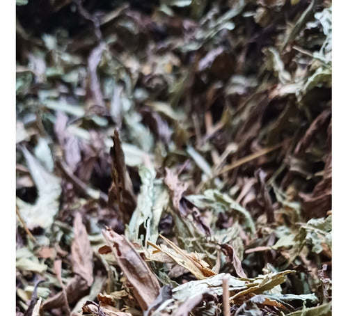 Organic Agroecological 100% Natural Stevia Leaf 1kg Bag 1