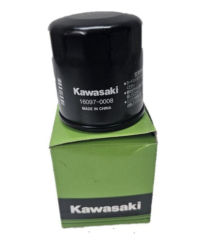 Filtro De Aceite Kawasaki Versys 300 Y Mas Original 0