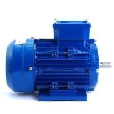 Motor Trifasico 1/4 Hp 1400 Rpm Cuerpo 63 Normalizado 5