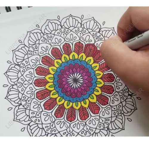 Sharpie Kit 12 Pastel Fine Markers + Mandalas 4