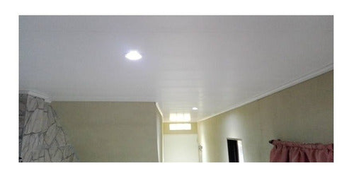 PVC Cladding and Ceiling Paneling 250x9 mm 0