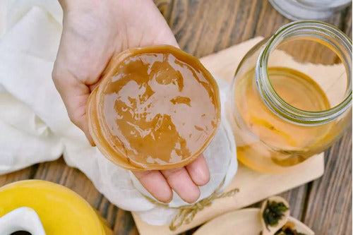 Scoby Iniciador Para Hacer Kombucha (kefir Argentina) 0