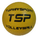 Pelota Voley Liviana Pvc 2