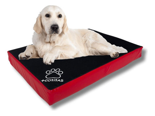 Cama Para Perro Ortopédica Antidesgarro Impermeable +cotitas 0