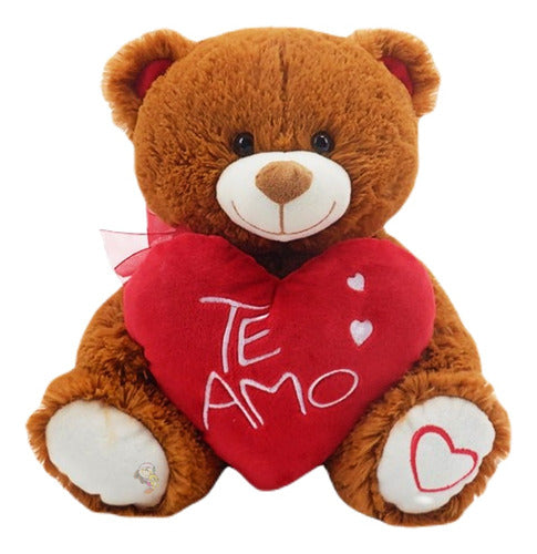 Plush Teddy Bear with Embroidered I Love You Heart Soft Toy 30cm 0