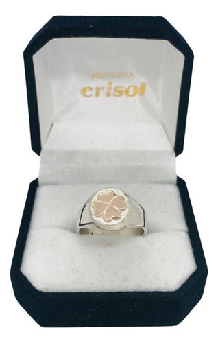 Crisol Anillo Nutricionista Plata Y Logo En Oro 0