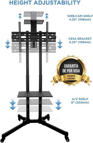 Conferences Universal TV Stand Adjustable from 32 to 65 Inches 1