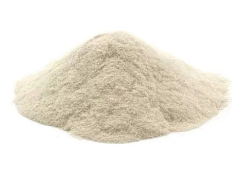 Goma Xantica Industrial Tecnica X 1kg - Rhodopol 23 0