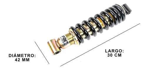 Far Amortiguador Monoshock Motomel Dakar 200 1