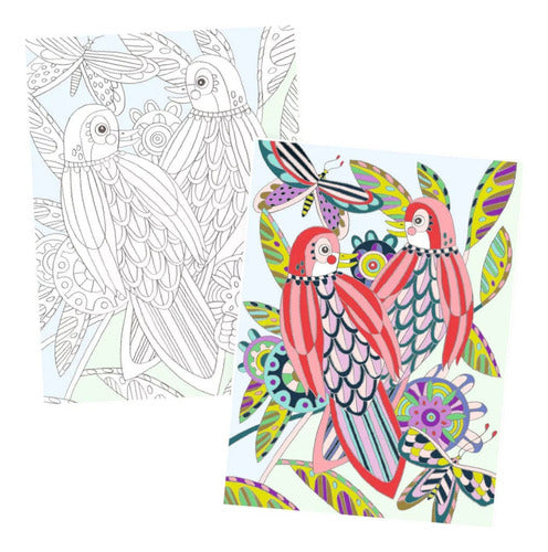 Lamina Coloring Sheets Gallery Birds Djeco 1