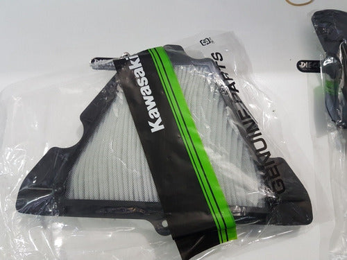 Kawasaki Filtro De Aire Ninja 1000 2014 Al 2016 - 11013-0738 2