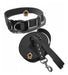 De Perros con Onda Dog Collar + 3 Mts Reinforced Leash for Walks and Play 7