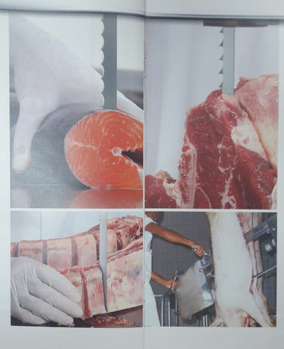 Banda Sin Fin Corta Carne 19mmx0,55 Z4 L 3500mm Sin Par 3