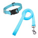 Nylon Collar and Leash Set for Dogs and Cats Various Sizes 69