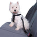 DT Dog Car Safety Belt Reinforced 0