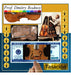 Antique Cello Appraisal by Prof. Dmitry Rodnoy 0