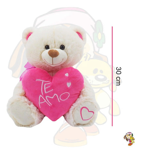 Plush Teddy Bear with Embroidered I Love You Heart Soft Toy 30cm 6