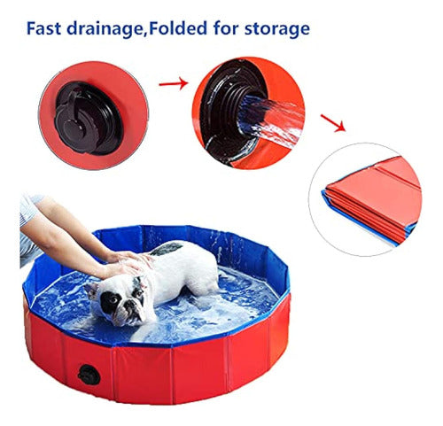 Itidyhome Piscina Plegable Para Perros Y Niños (40 4