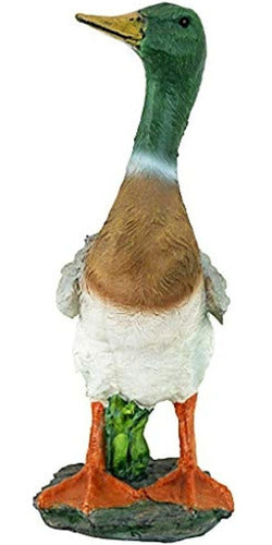 Design Toscano Mallard Duck Statue 4