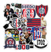 Stickarte_arg Stickers San Lorenzo 15 Units 4x4 Cm PVC Laminated 0