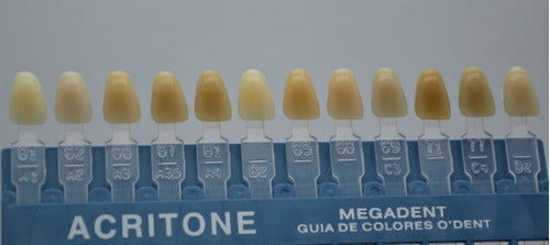 Muestrario Guia Colores Acrílico Acritone Colorimetro Odonto 4