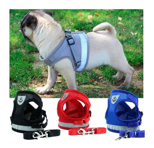 Padded Harness with Leash for Small Dogs and Cats - Various Sizes 46