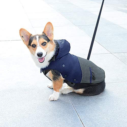 Petloft Winter Jacket for Dogs 2