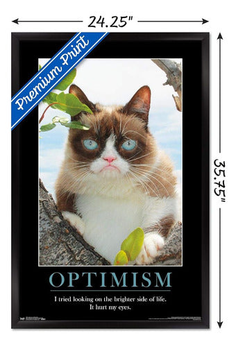 Trends International Grumpy Cat - The Brighter Side Wall Pos 2