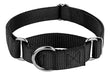 Country Brook Petz - Durable Nylon Dog Collar - Martingale Style 1