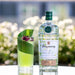 Gin Tanqueray Lovage 1l . Envio Gratis 4