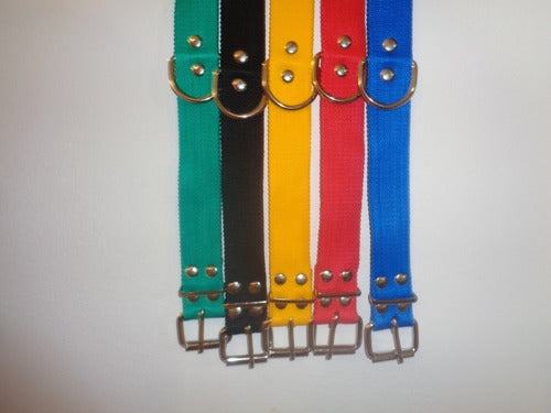 Combo Pets Shop 20 Collars / 10 Harnesses / 10 Leashes Various Colors 5