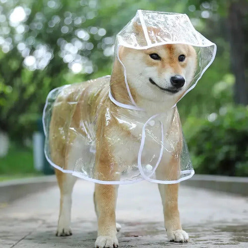 Capa De Chuva Transparente Com Capuz, Tamanho L, Para Cães D 3