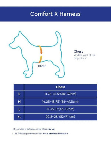 Gooby Comfort X Head-In Harness - Blue, Medium 2