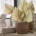 Sggvecsy Dried Palm Leaves Boho 10 Pieces 14.2 Øø Stems 7