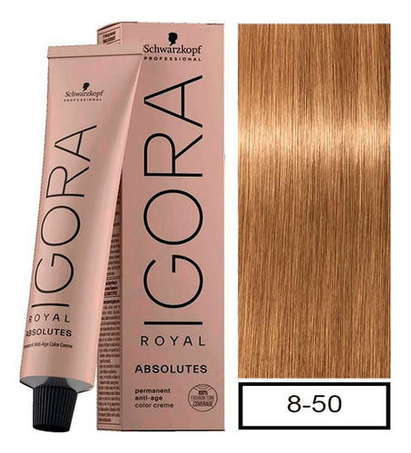Schwarzkopf Igora Royal Absolutes 8-50 Hair Color + 60ml Developer 8
