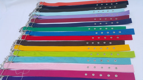 Pet Shop Combo Collar and Leash 10 Sets 3 cm Wide 1