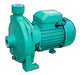 1 HP 32m 118 L/min Centrifugal Turbine Bronze Water Pump by Fema 0