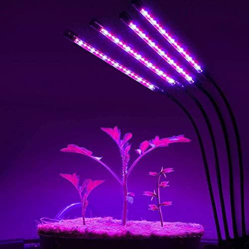 Luces De Cultivo Led Para Plantas De Interior, Jueyingbaili 0