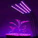 Luces De Cultivo Led Para Plantas De Interior, Jueyingbaili 0