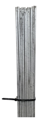 Trefilar 2 Galvanized Plates for Tensioning Wire 125cm 1