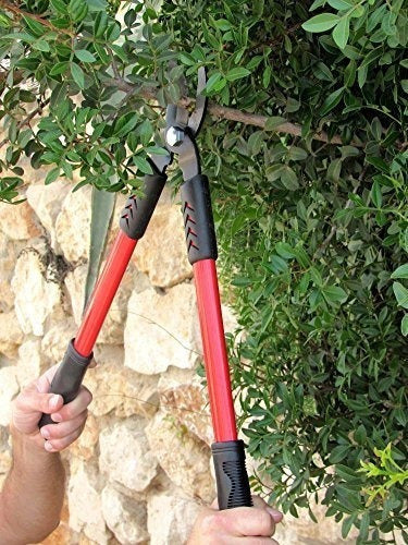 Tabor Tools Gl18 20inch Bypass Mini Lopper Hace Cortes Profe 1