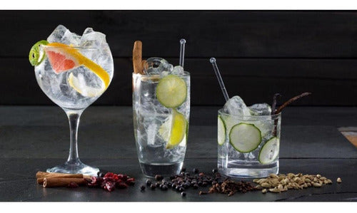 Príncipe De Los Apóstoles Gin 750 Ml London Dry Offer 1