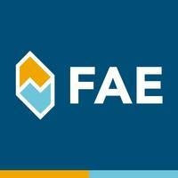 FAE Sensor De Fase FAE79394 2