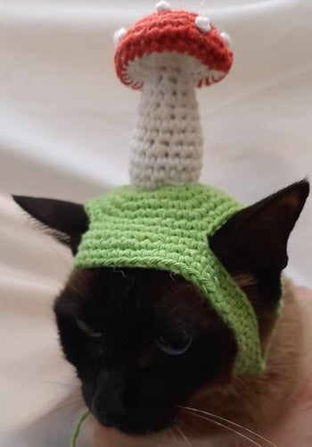 Sombrero De Hongo Para Gatos A Crochet 4