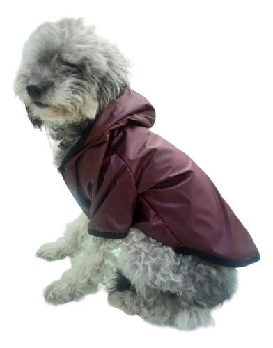 Waterproof Insulated Polar Lined Dog Jacket with Hood 11