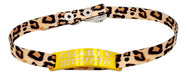Golden Cat Tag + 1cm Animal Print Collar Set 0