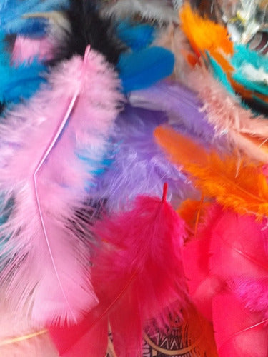 Assorted Colorful Feathers 10 Cm 2