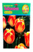 Agroparque Tulipán De Colores - Bulbos De Tulipán De Colores - Bulbos 0