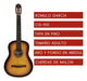 Classical Creole Guitar by Romulo Garcia CG100 with Red Finish + Case 27