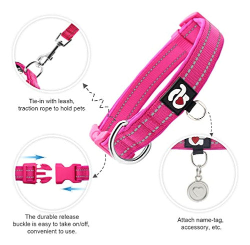 Azuza Reflective Dog Collar, Padded Neoprene Collar with ID Tag Ring, Adjustable for Small Dogs, Hot Pink 1